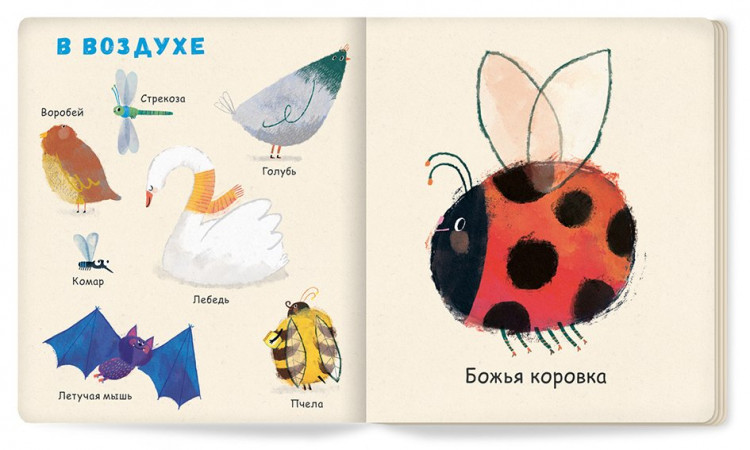 Зюсбауэр Анна. Мои первые животные