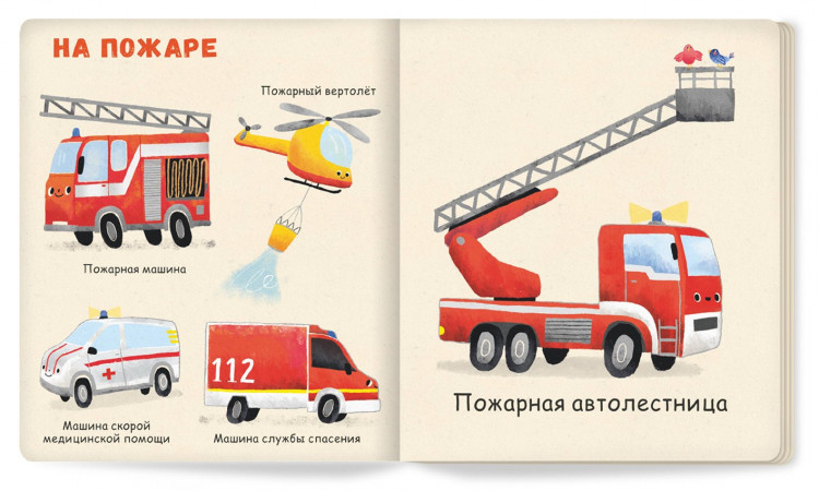 Зюсбауэр Анна. Мои первые машины
