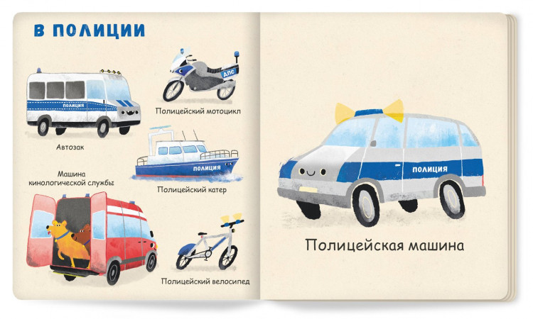 Зюсбауэр Анна. Мои первые машины