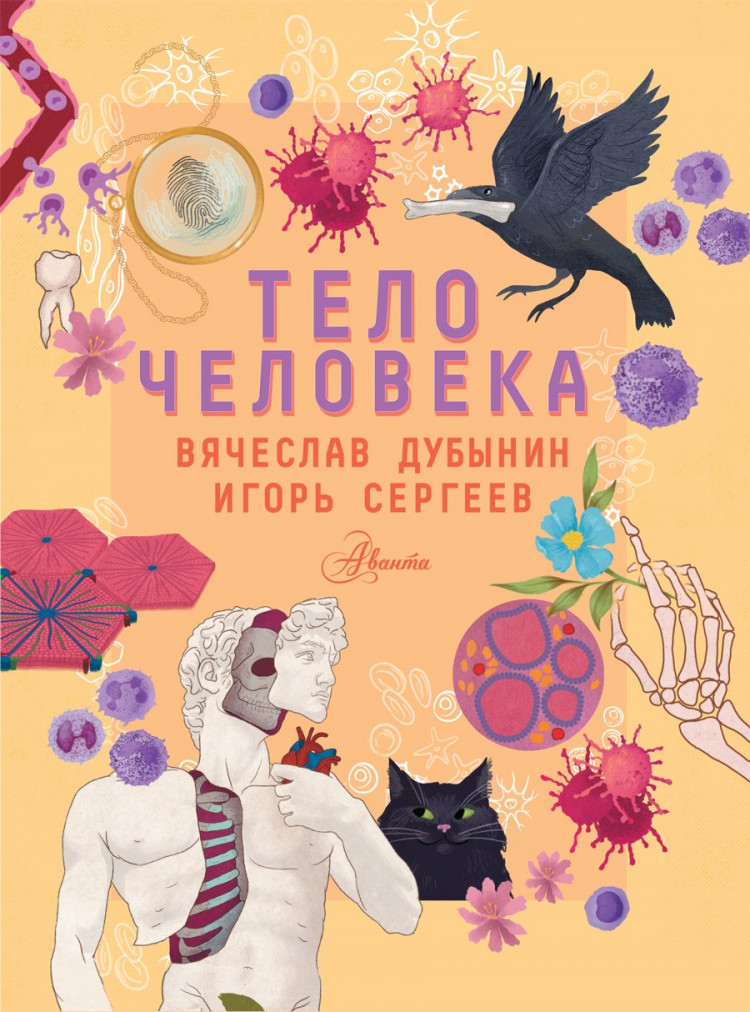 Дубынин Вячеслав, Сергеев Игорь. Тело человека