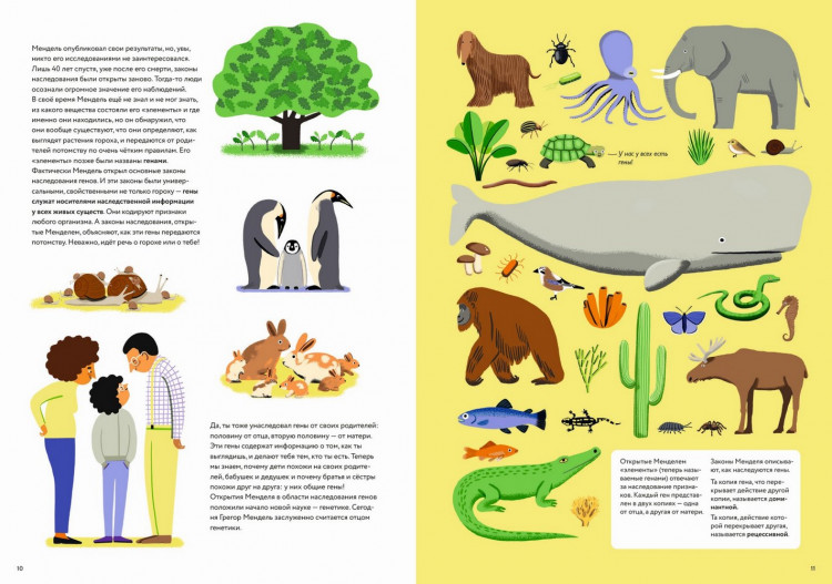 Хэфнер Карла. ДНК: код жизни