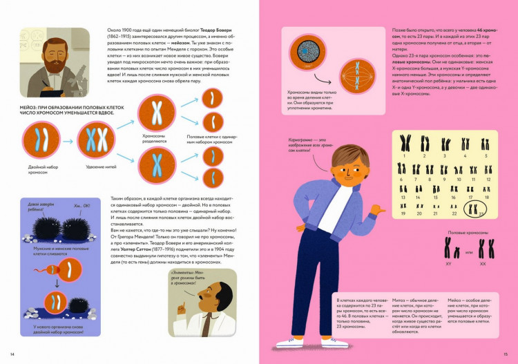Хэфнер Карла. ДНК: код жизни