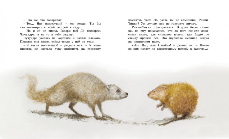 Киплинг Редьярд. Рикки-Тикки-Тави (илл. Р. Ингпена). Адаптированная версия