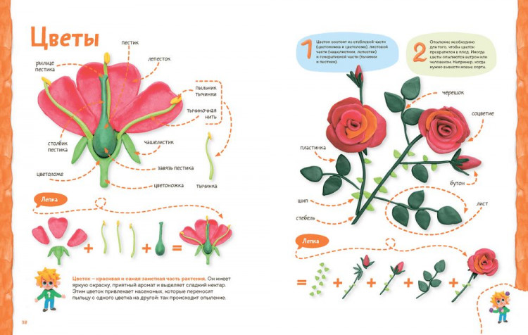 Пластилиновая лаборатория Чевостика