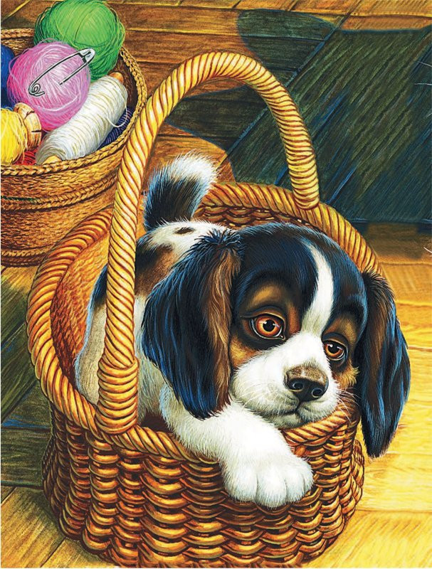 Пришвин Михаил. Рассказы о животных