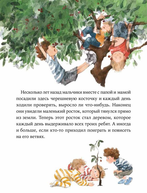 Ремиш Наталья. Волшебные камни Бааса