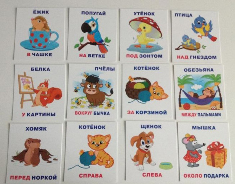 Умный малыш. Кто где находится? Карточки для детей