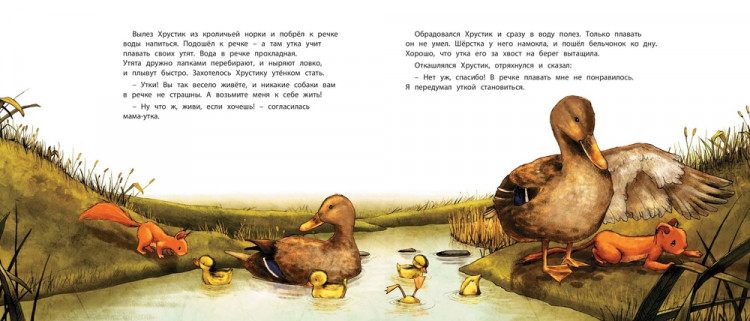 Хазель Нут. Хочу быть храбрым!