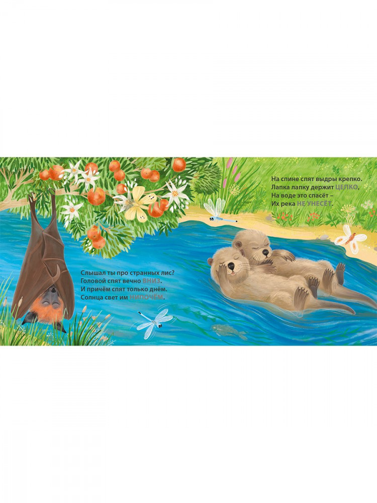 Сосновский Евгений. Кто как спит. Загадки - рифмы