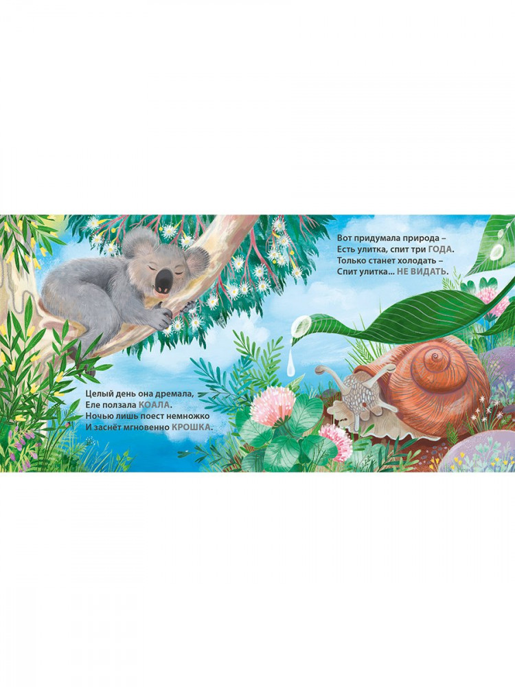 Сосновский Евгений. Кто как спит. Загадки - рифмы