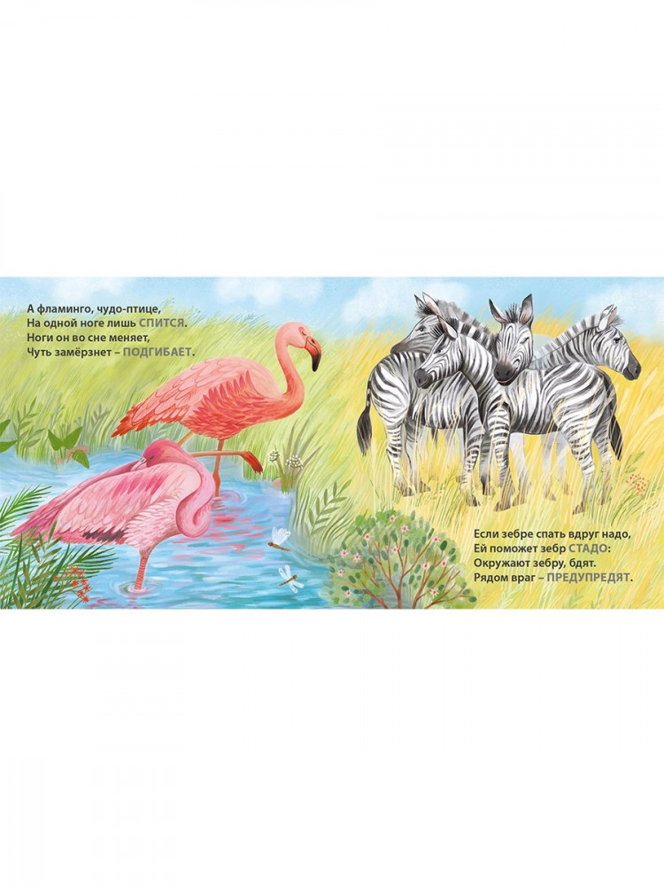 Сосновский Евгений. Кто как спит. Загадки - рифмы