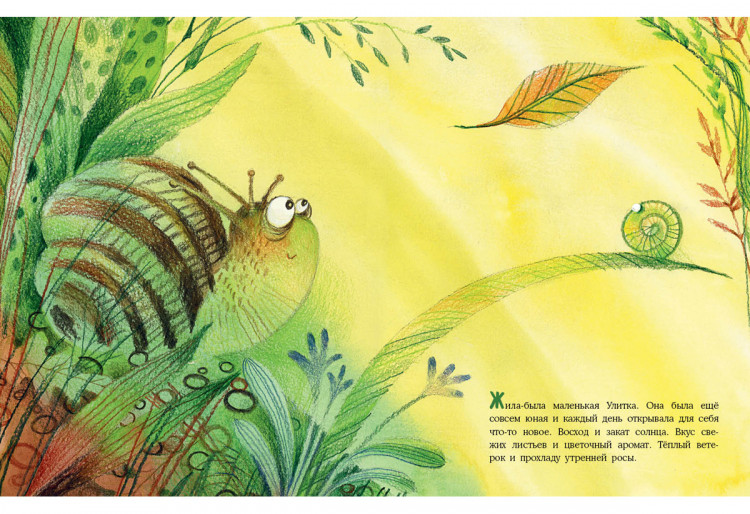 Зартайская Ирина. Куда ползёт Улитка?