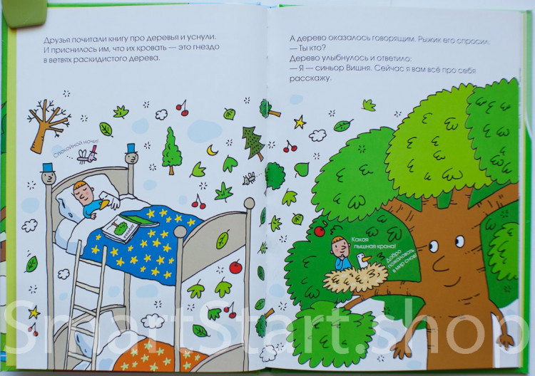 Траини Агостино. Жизнь и приключения синьора Вишни