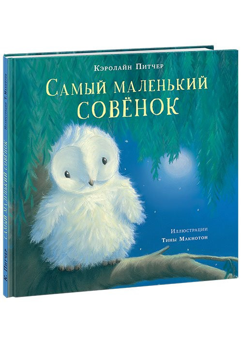 Питчер Кэролайн. Самый маленький совёнок