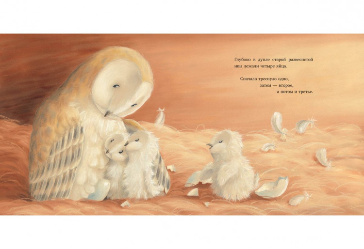 Питчер Кэролайн. Самый маленький совёнок