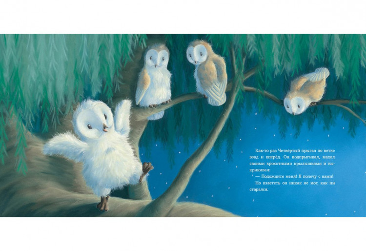 Питчер Кэролайн. Самый маленький совёнок